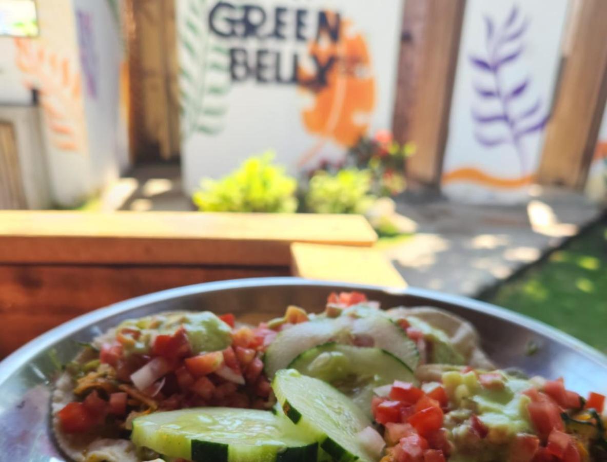 Green Belly Surf Hostel El Paredón Buena Vista المظهر الخارجي الصورة
