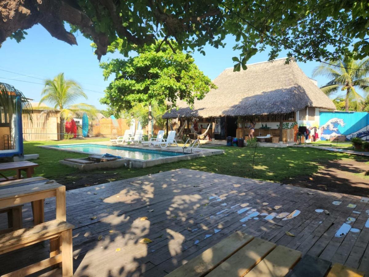 Green Belly Surf Hostel El Paredón Buena Vista المظهر الخارجي الصورة