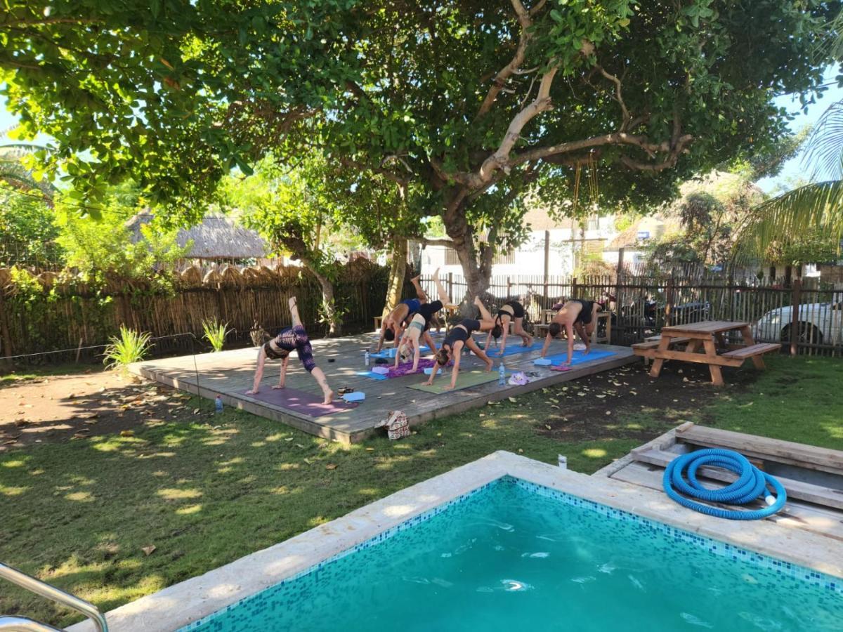 Green Belly Surf Hostel El Paredón Buena Vista المظهر الخارجي الصورة